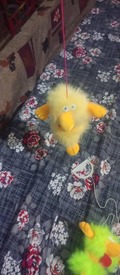 chicken Toys