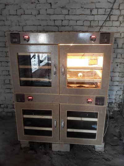 600 Eggs Incubator