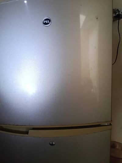 pel medium size