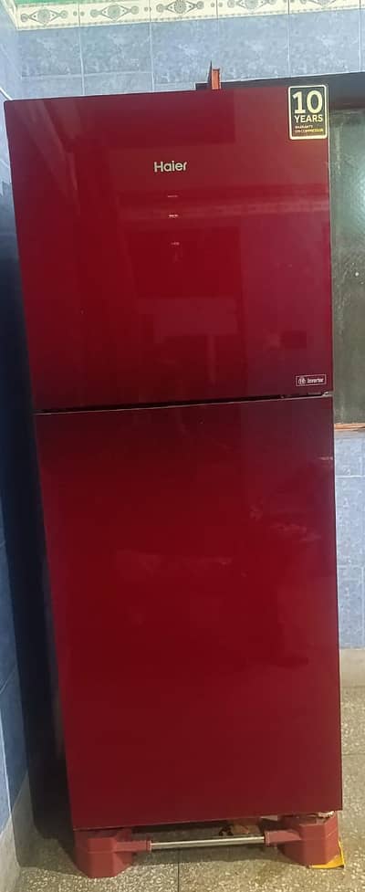 Hair fridge for sale
