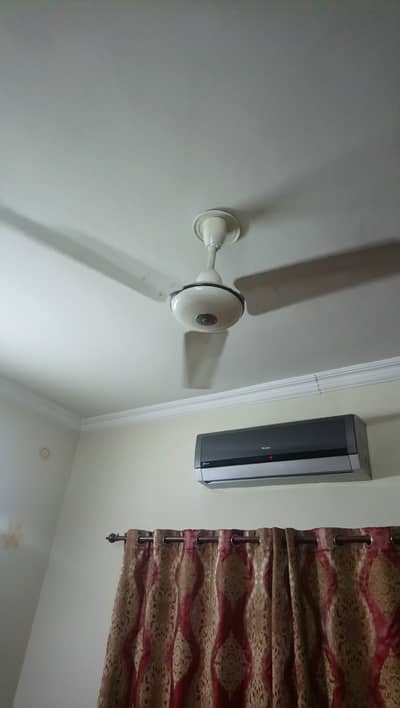 Ceiling fans