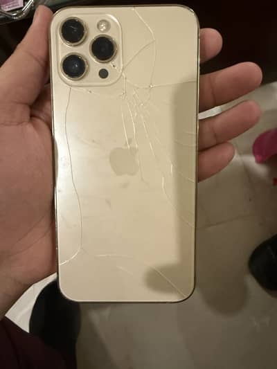 Apple iPhone 12 Pro Max