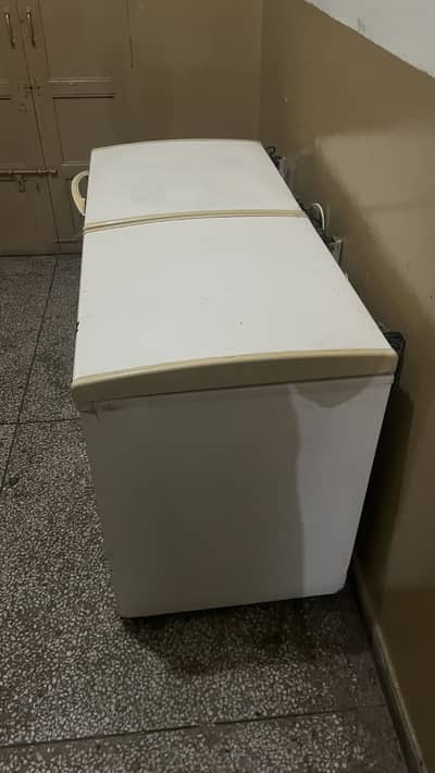 Freezer For Sale