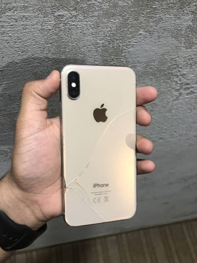 Apple iPhone X