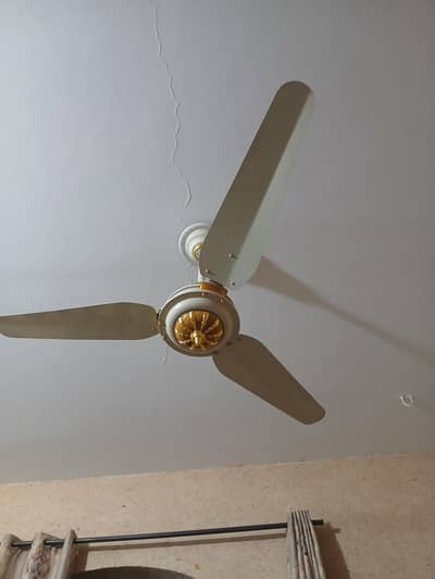 CIELING FAN