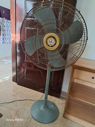 Royal Pedestal Fan