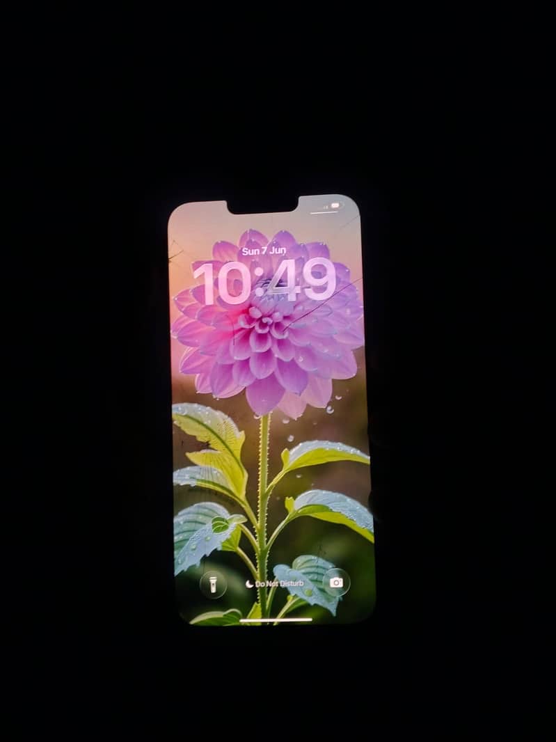 iPhone 13 Pro Max 3