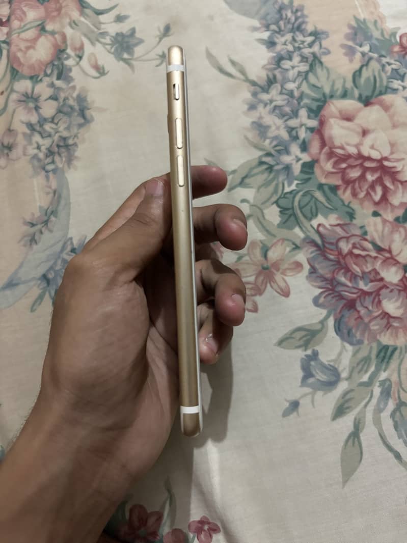 Iphone 7 3