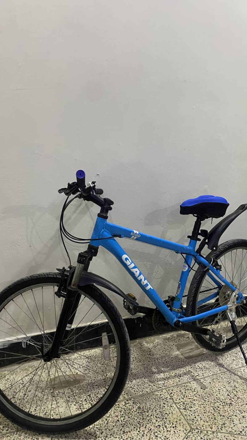 Bicycle 1