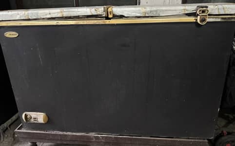 Waves double door deep freezer