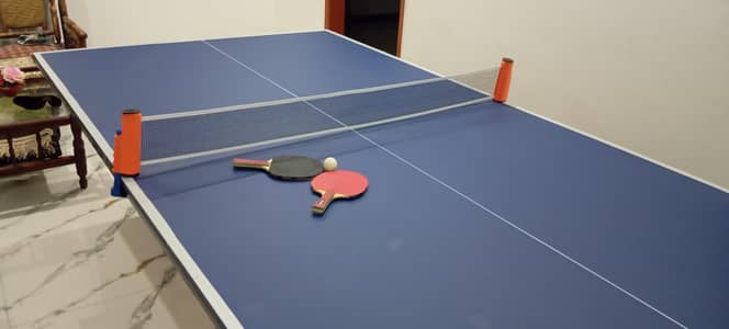 Table Tennis unused