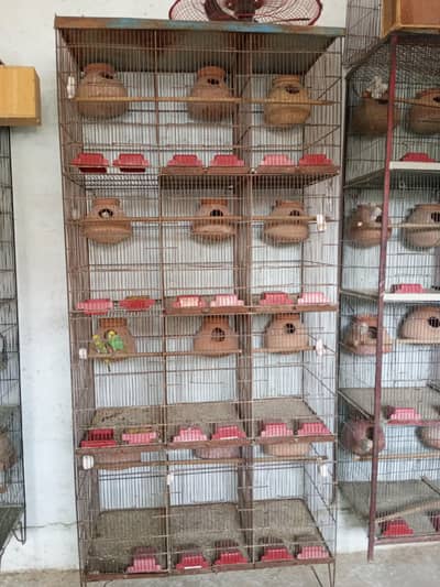 I'm urgently selling My Cages