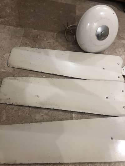 Used Ceiling Fan for Sale (Good Working Condition)