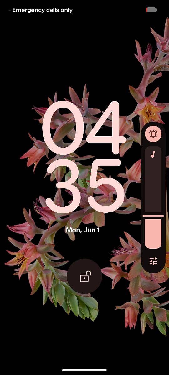 Google Pixel 6 2