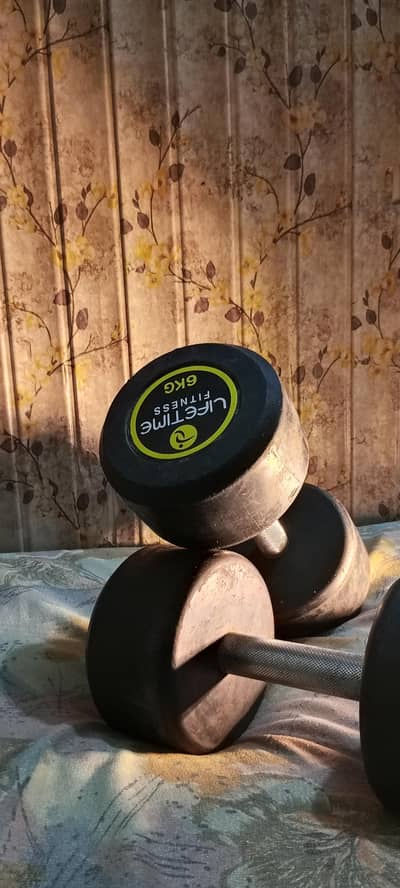 Lifetime Fitness 6kg Pair Dumbbells (Total 12kg) - Top Quality