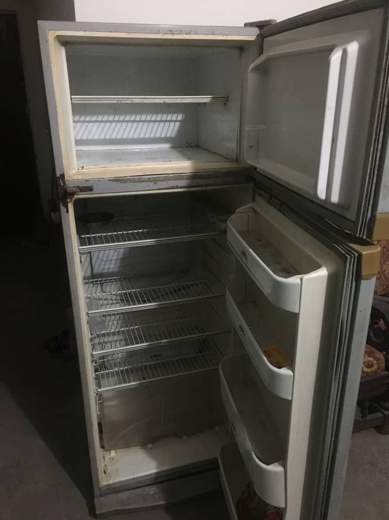 Fridgee 1