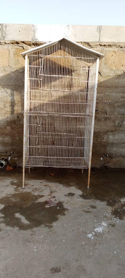 bird/parrot and hen Cage