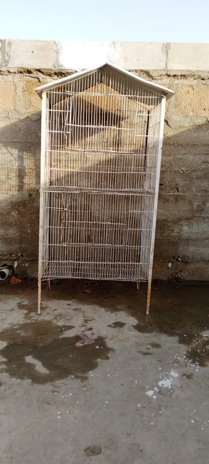 bird/parrot and hen Cage