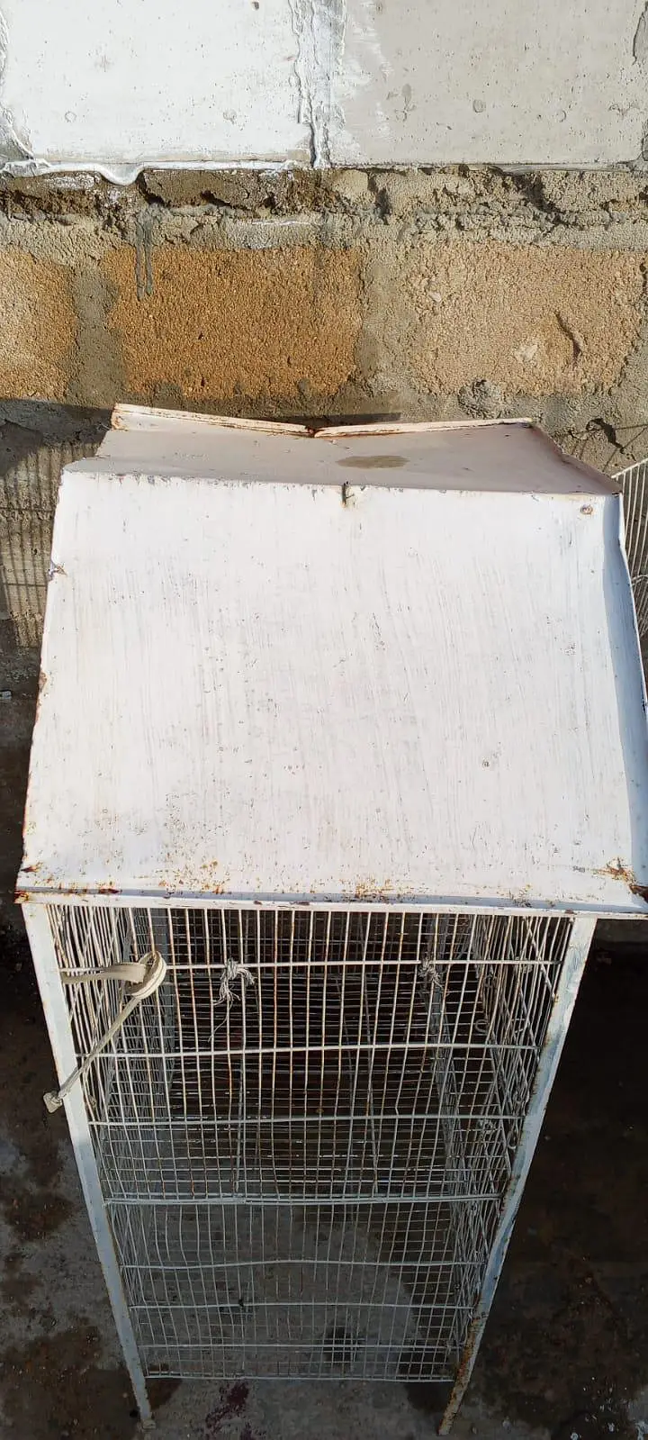 bird/parrot and hen Cage — photo 3