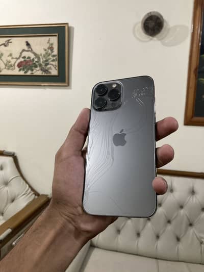 Apple iPhone 13 Pro Max