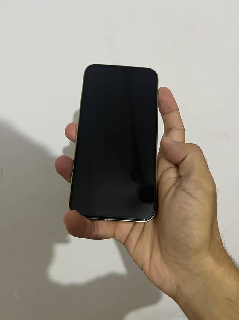 iPhone 13 pro 1