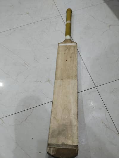 coconut bat