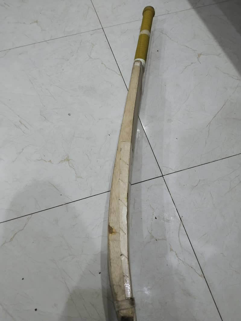 coconut bat 1
