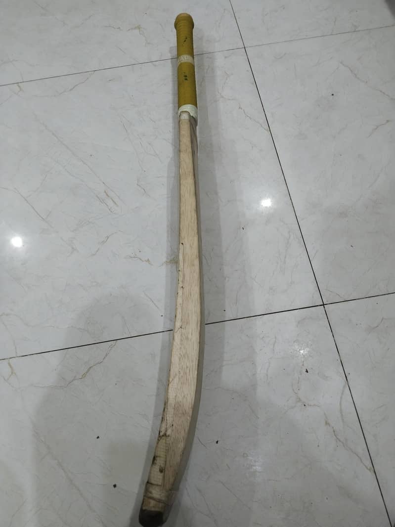 coconut bat 2