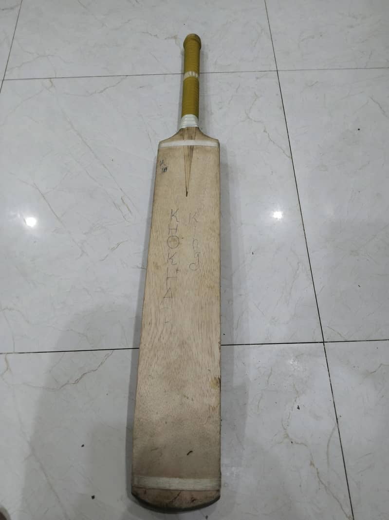coconut bat 3
