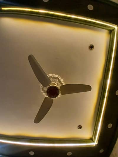 royal ceiling fan
