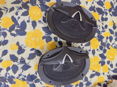 Alpine speakers 1st copy