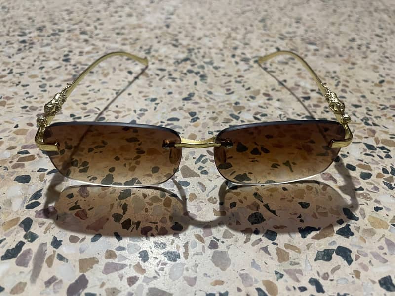 sun Glasses 1
