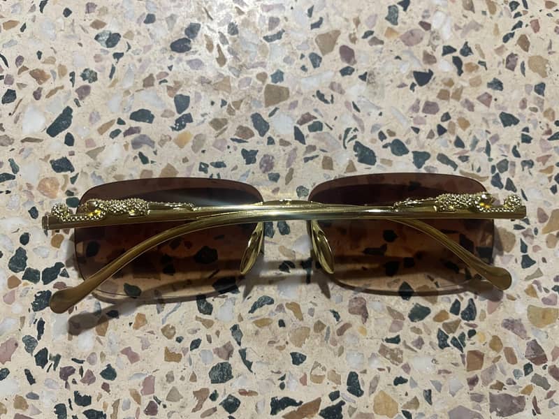 sun Glasses 2