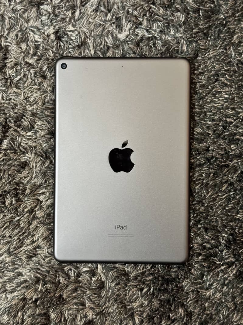 Ipad Mini 5 0