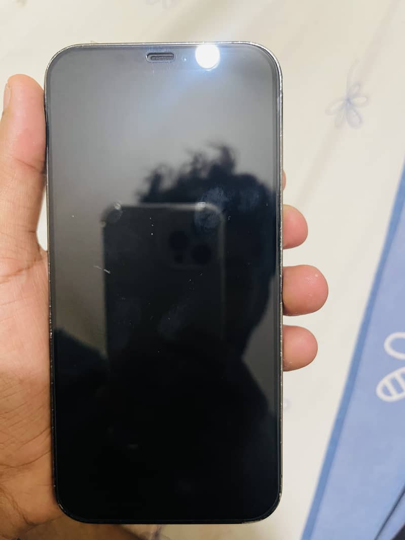 iPhone 12 Pro Max 2