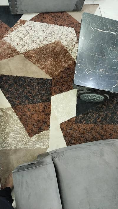center rug and fluffy door mat