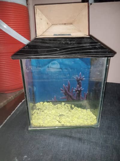 aquarium