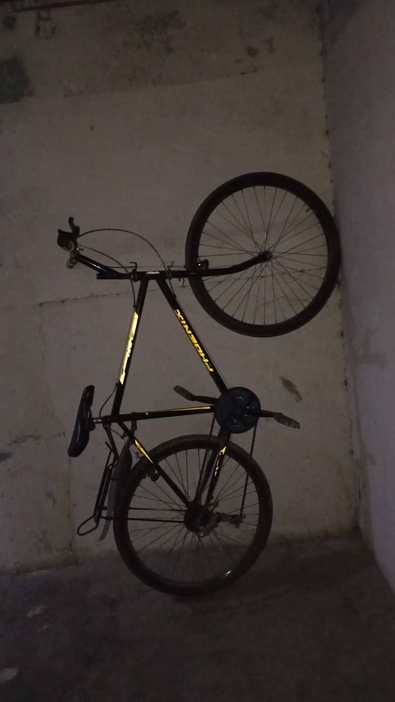 phoenix cycle. . 2