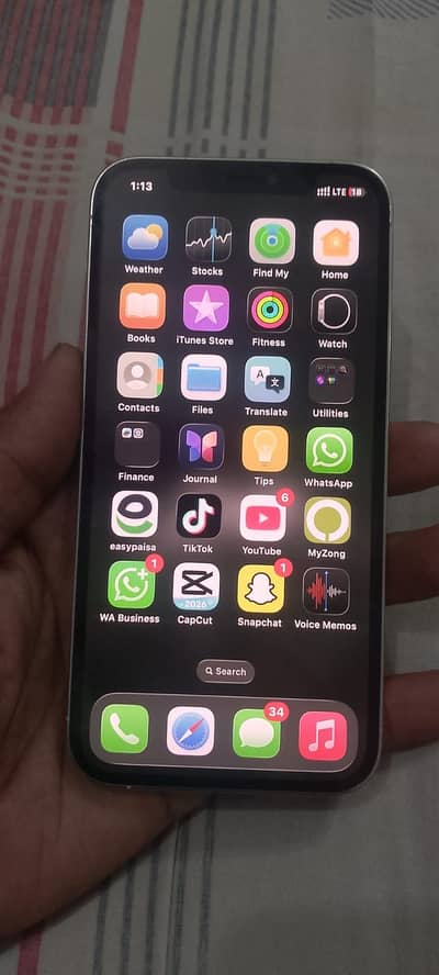 iPhone 12 pro dual approved