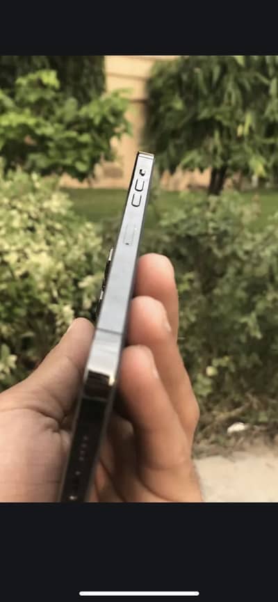 Apple iPhone 12 Pro Max