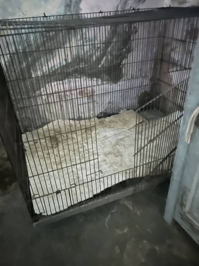 Full size Dog cage
