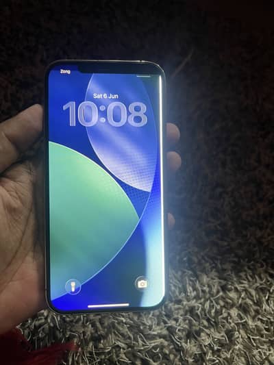 Apple iPhone 12 Pro Max