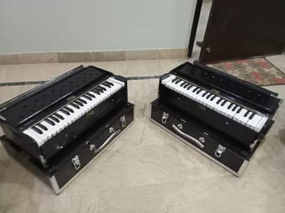HarmoniumberifcaseIndian