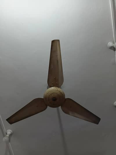 normal warking fan