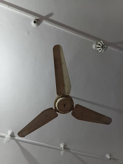 normal warking fan