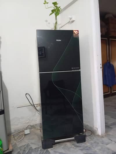 Haier Refrigerator  10/10 Condition