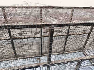 Multipurpose Iron Cage
