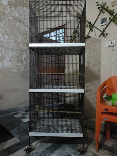 birds cages