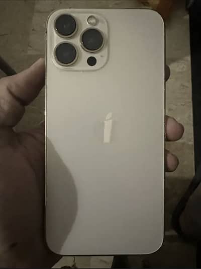 Apple iPhone 13 Pro Max