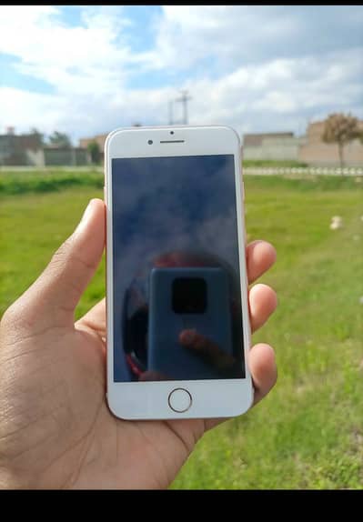iPhone 6s PTA Approved 64GB Jo Colour Chahye Mill Jaega ‎ ‎